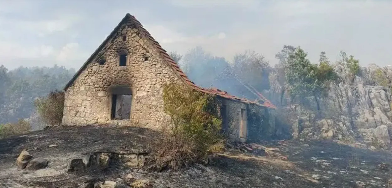 Foto: CZS Cetinje
