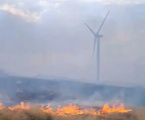 Požar u Nikšiću (Foto: RTNK)