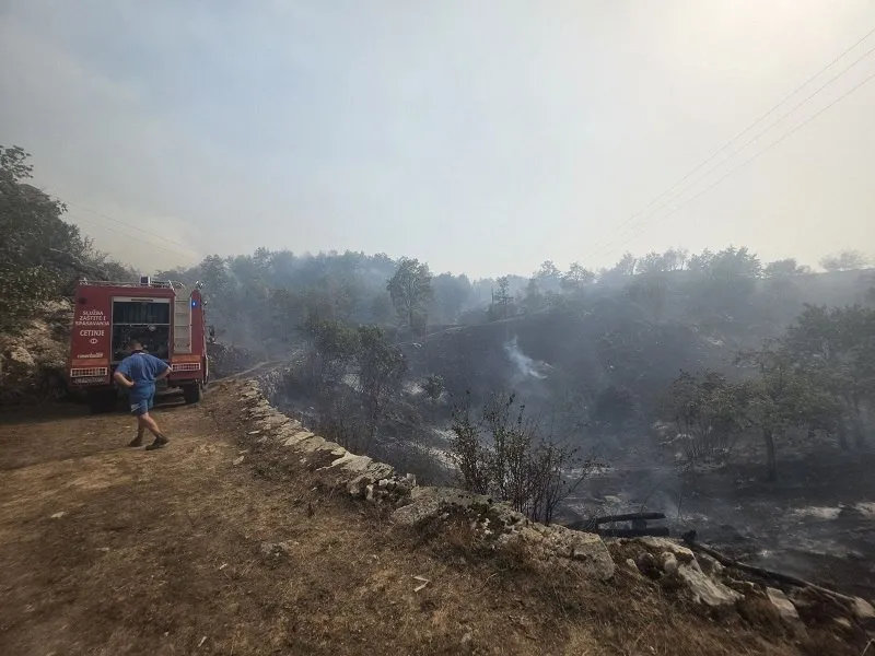 (Foto: SZS/RTV Cetinje)