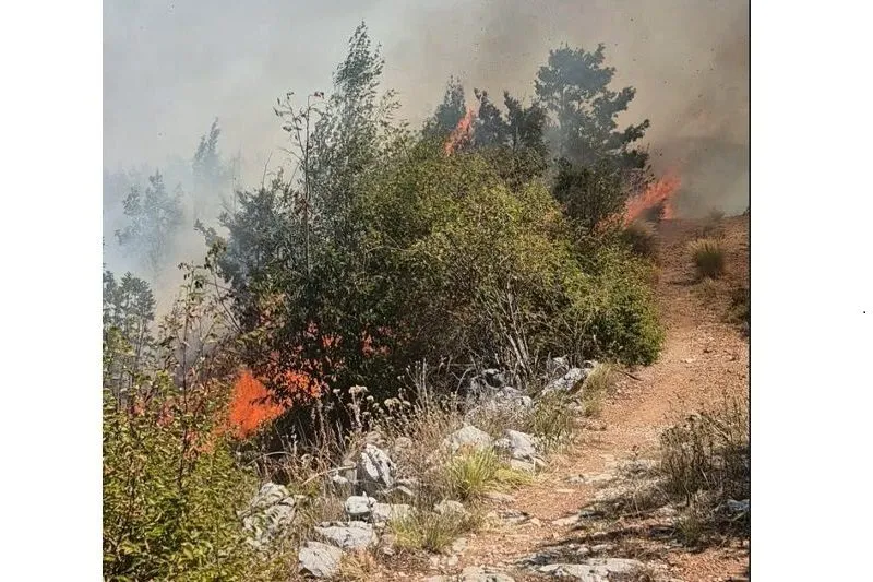 Skrinšot (Foto: RTV Cetinje/Jutjub)