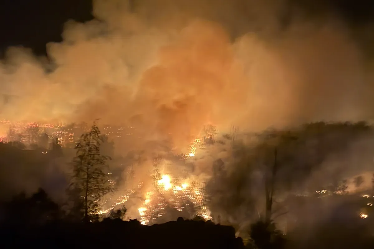 Požar na teritoriji Cetinja (Foto: Služba zaštite i spašavanja Cetinje/RTV Cetinje)
