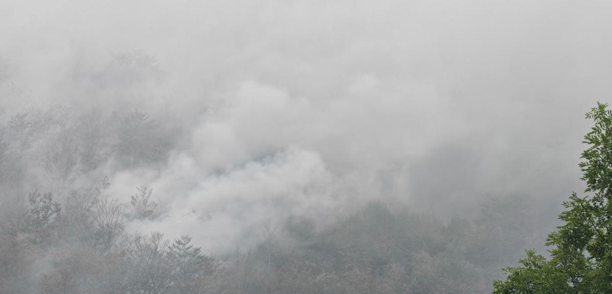 Požar (Foto: Portal ETV/Miraš Dušević)