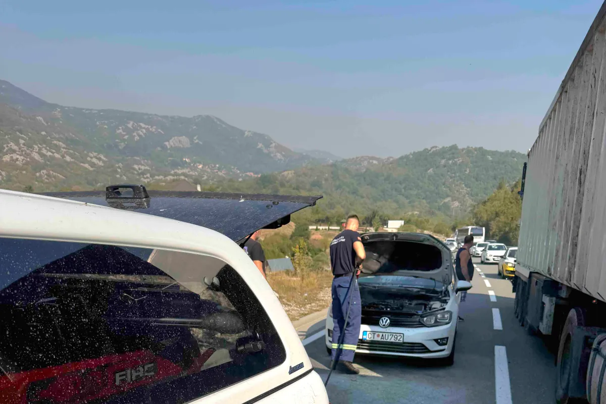 Foto: RTV Cetinje
