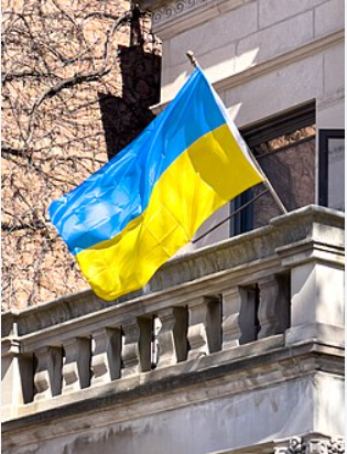  (Foto: UGC )