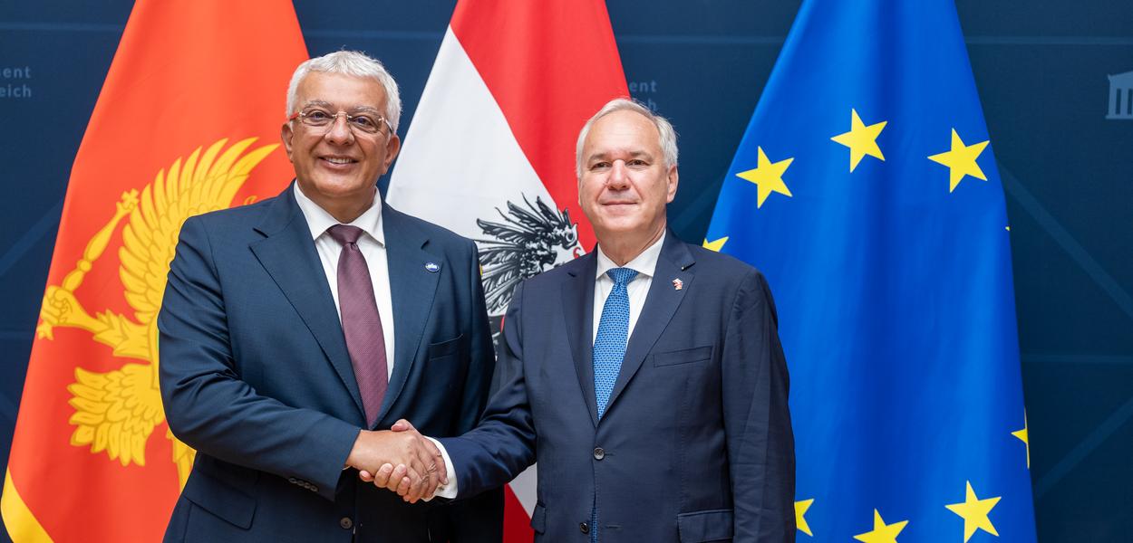 Mandić u zvaničnoj posjeti Republici Austriji (Foto: Skupština Crne Gore)