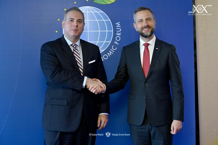 (Foto: Vlada CG)