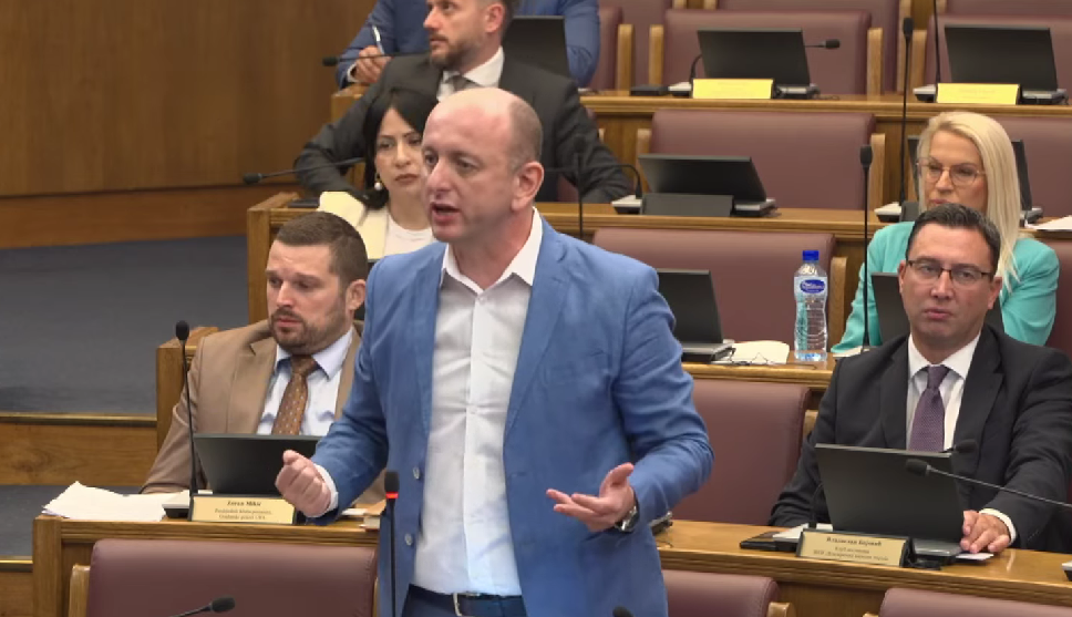 Foto: Skupština/Printscreen