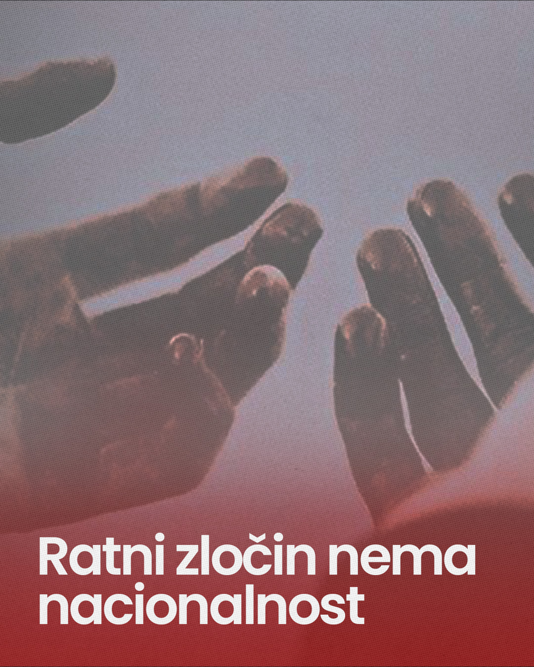 (Foto: NVO)