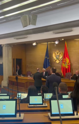 Scena iz plenarne sale (Foto: Stop kadar)