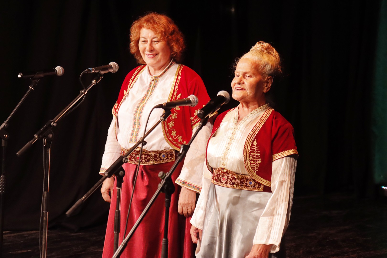 Međunarodni festival malih etno grupa i solista „Zmaj preleće s mora na Dunavu“