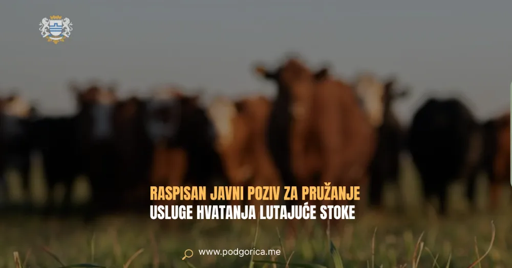Foto: Glavni grad