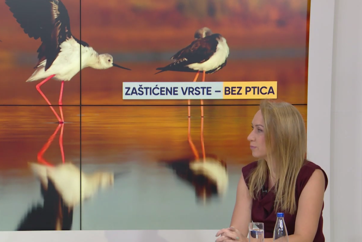 Foto: TV E