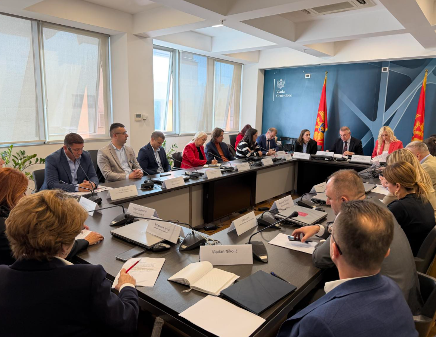  (Foto: Savjet za prava lica sa invaliditetom)