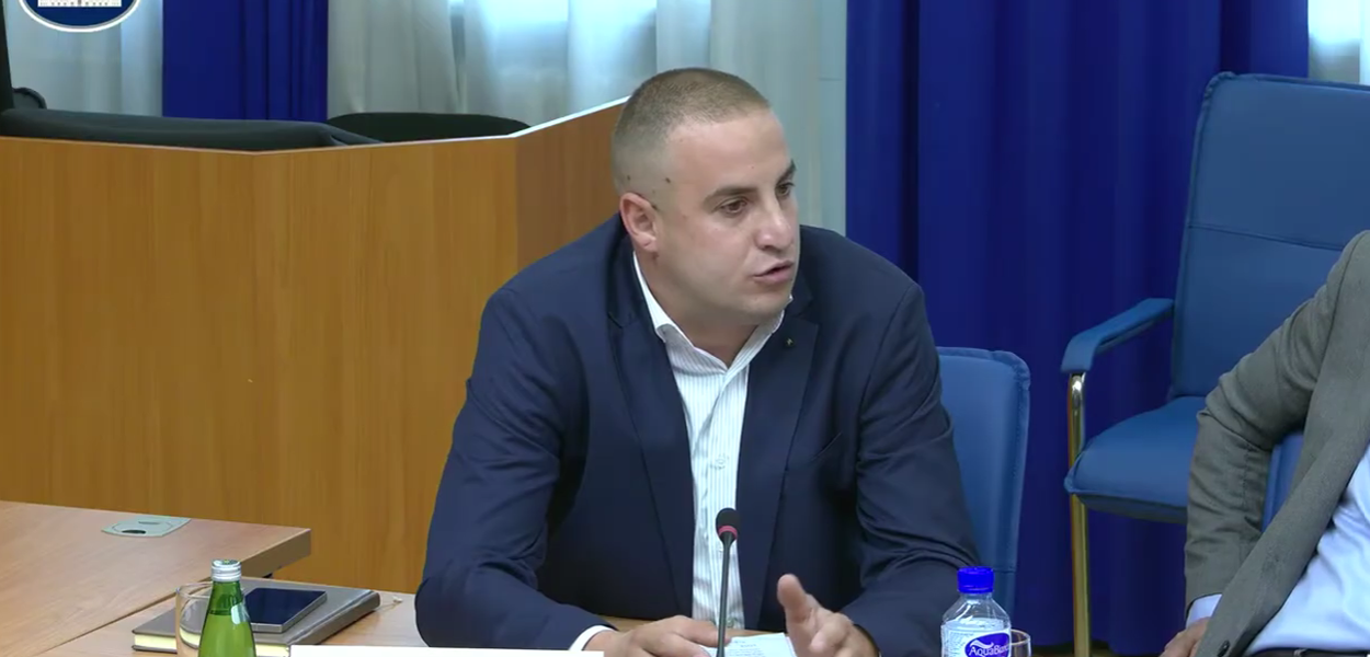Đorđije Lješnjak  (Foto: Stop kadar/Odbor za ekonomiju, finansije i budžet )
