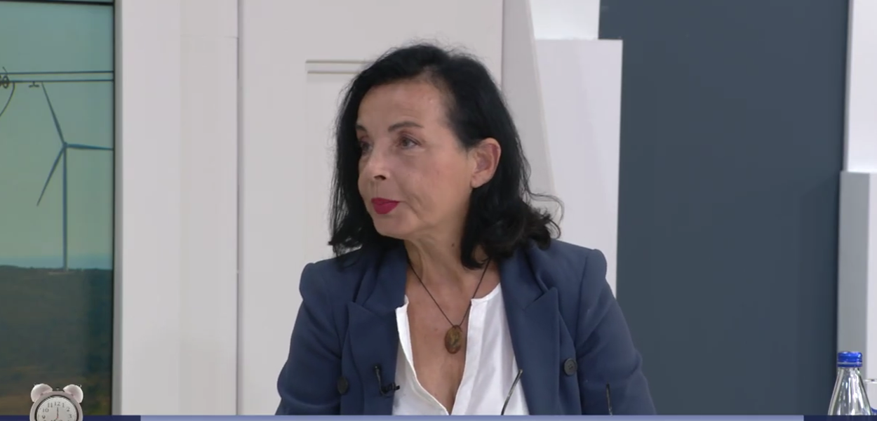 Vesna Radojević (Foto: Budilnik/TV E )