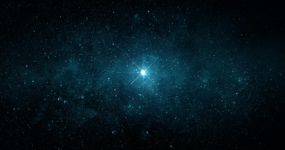  (Foto: Triff/Shutterstock)