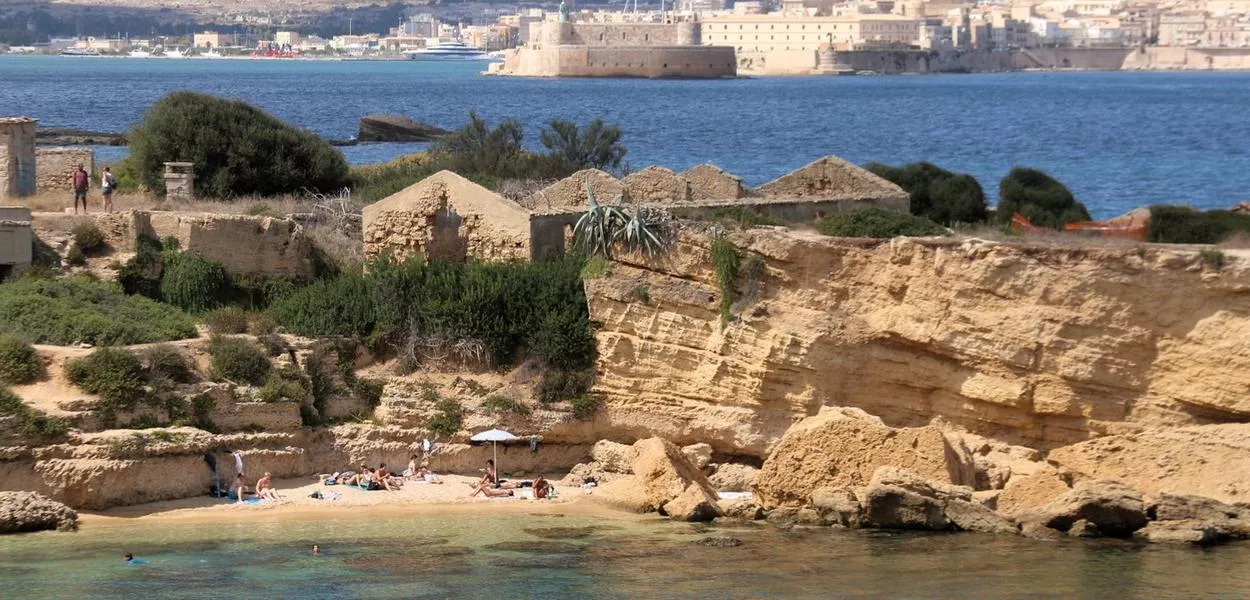 sirak. (Foto: Lj.R.)