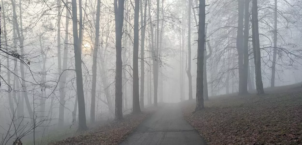 Foggy strall (Foto: Lj.R.)